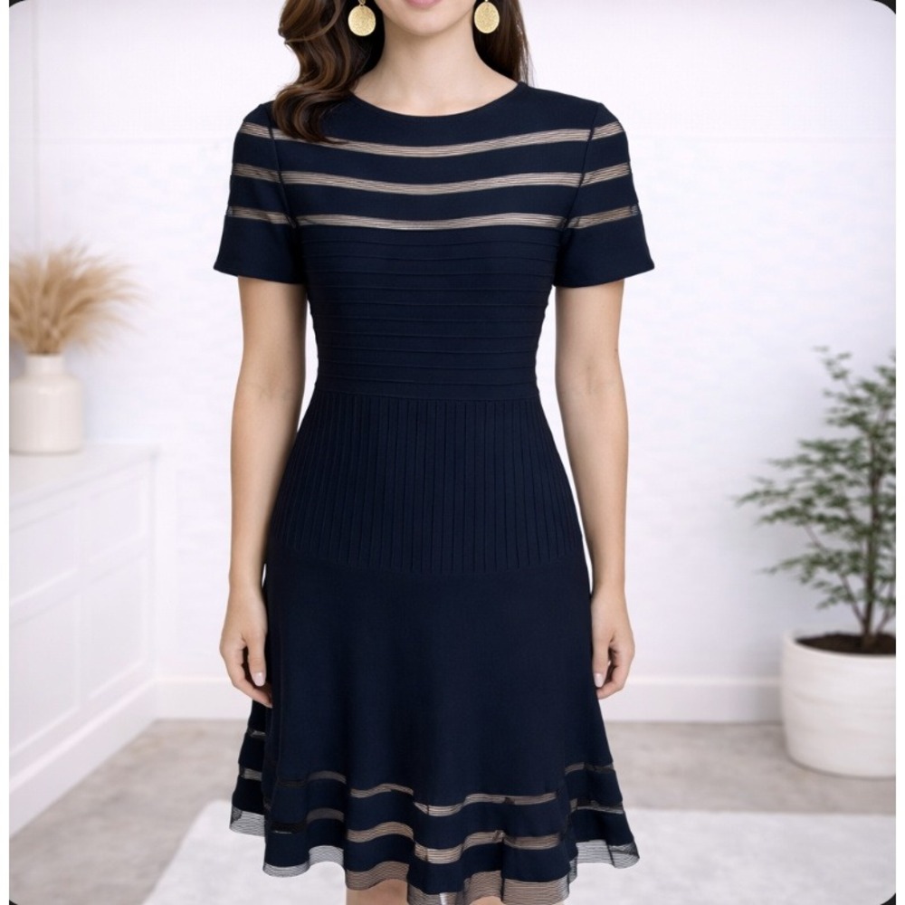 Tadashi Shoji Fit &‎ Flare Dress Women XS Navy Blue Mesh Stripe Pintuck Party